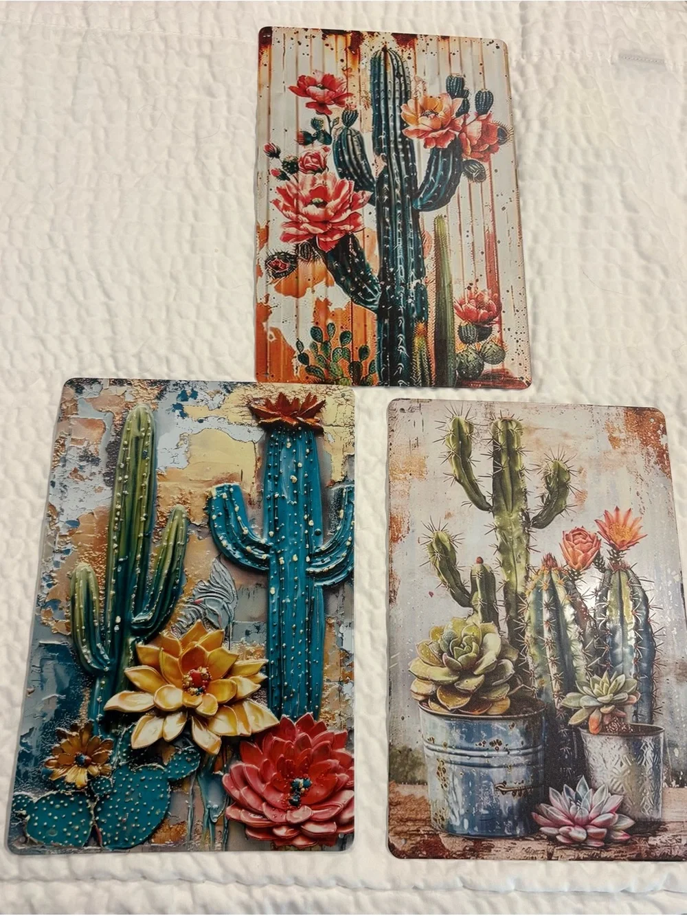 Cactus & Succulent Wall Art Trio - Floral Desert Prints